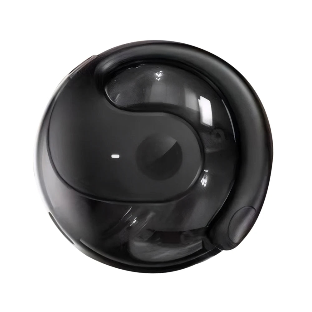 Technova AI Translation Earbuds in-ear headphones with glossy black charging case